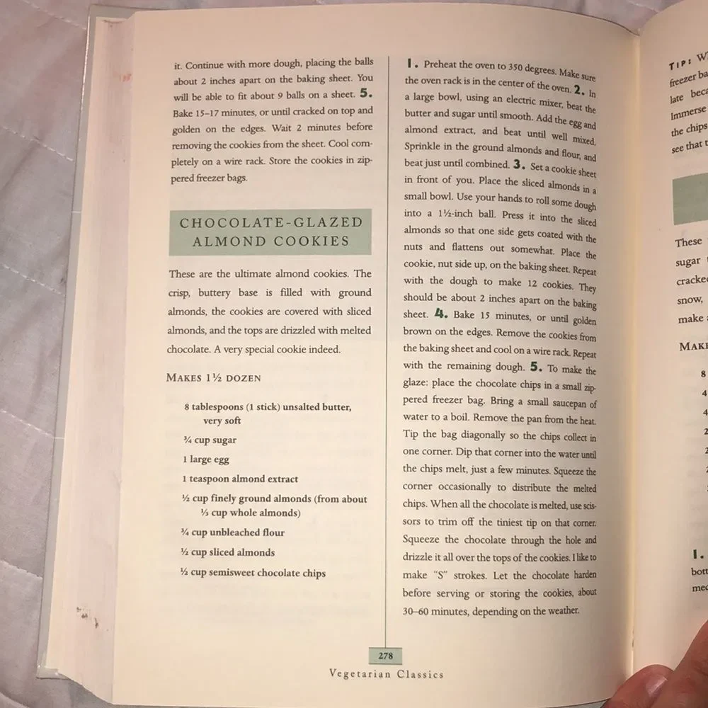 2001 1st Edition Vegetarian Classics by Jeanne Lemlin
